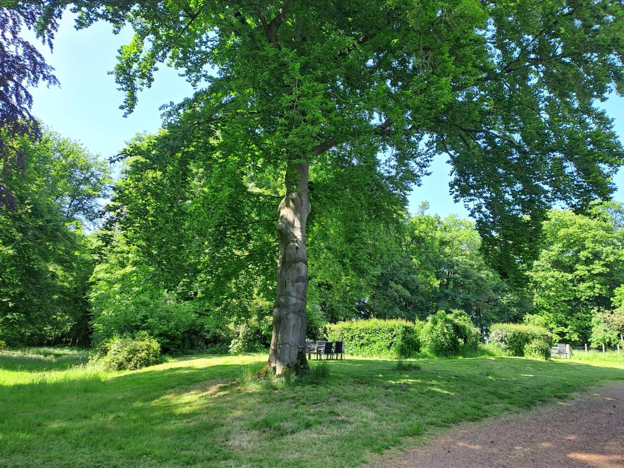 Gite Incontournable Avec Sauna Et Piscine Dans Un Petit Paradis Du Barbant Wallon Villers-la-Ville Eksteriør bilde